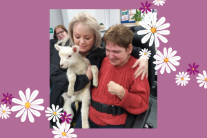 woman seated in a wheelchair cuddles a baby lamb