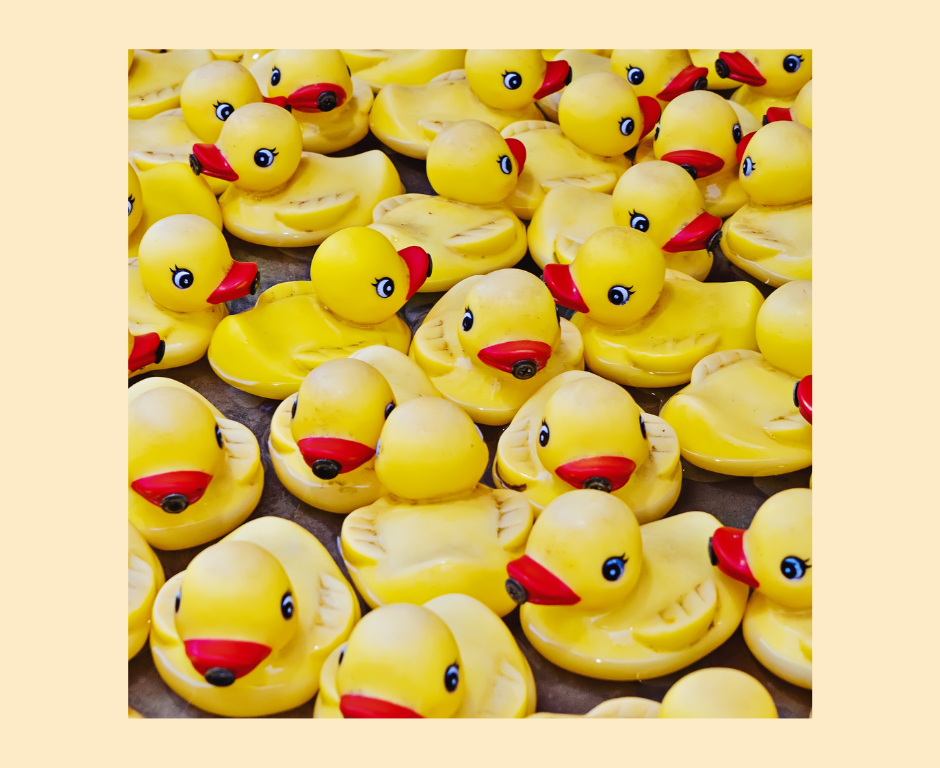 lots of yellow plastic ducks